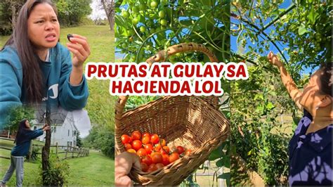 iyotube pinay|Ganito Kami ni EX Mag SEX Bilang Probinsya Life (Iyutan sa .
